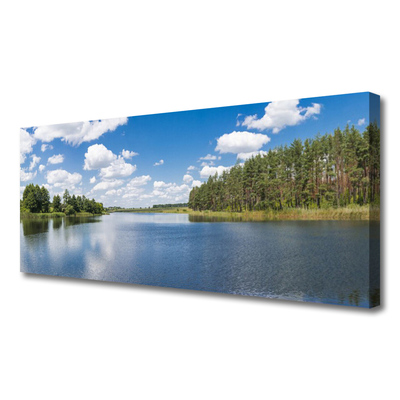 Photo sur toile Forêt lac paysage vert bleu