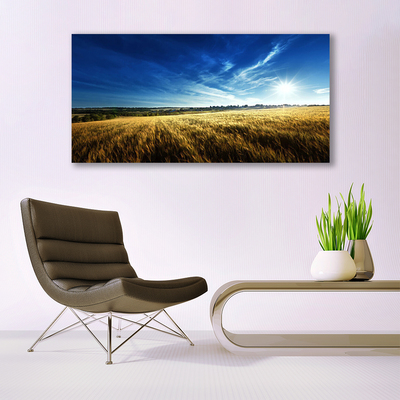 Photo sur toile Ciel champ nature jaune bleu blanc