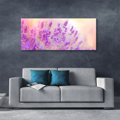 Photo sur toile Fleurs floral rose