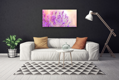 Photo sur toile Fleurs floral rose