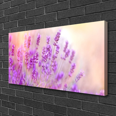 Photo sur toile Fleurs floral rose