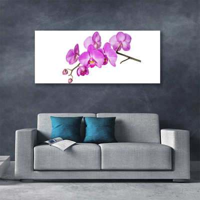 Photo sur toile Fleurs floral rose