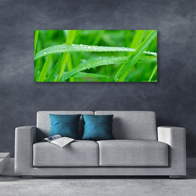 Photo sur toile Herbe nature vert