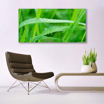 Photo sur toile Herbe nature vert