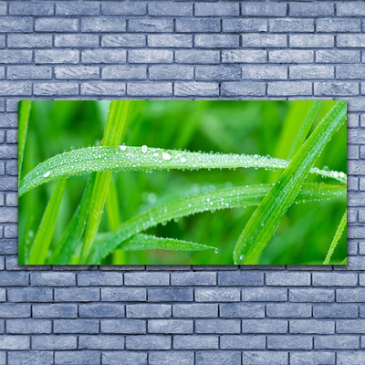 Photo sur toile Herbe nature vert