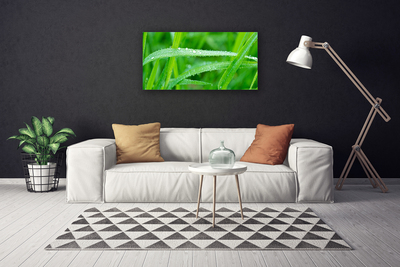 Photo sur toile Herbe nature vert