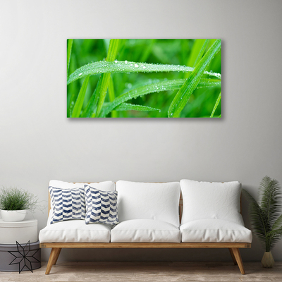 Photo sur toile Herbe nature vert