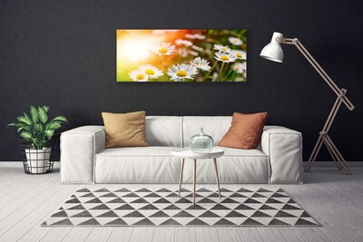 Photo sur toile Marguerite floral jaune blanc vert