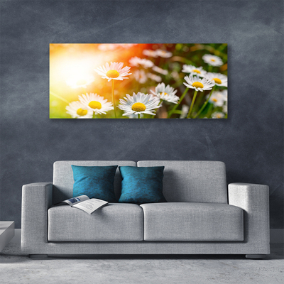 Photo sur toile Marguerite floral jaune blanc vert