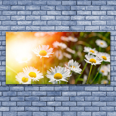 Photo sur toile Marguerite floral jaune blanc vert