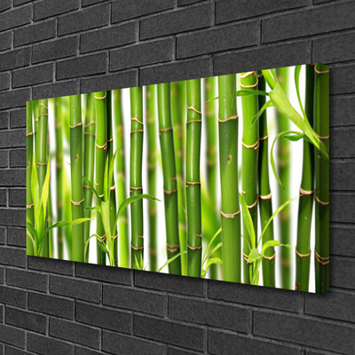 Photo sur toile Bambou floral vert