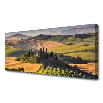 Photo sur toile Champ montagnes paysage vert brun