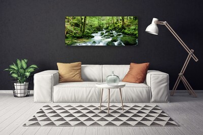 Photo sur toile Forêt lac pierres nature brun vert blanc