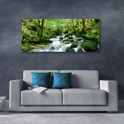 Photo sur toile Forêt lac pierres nature brun vert blanc