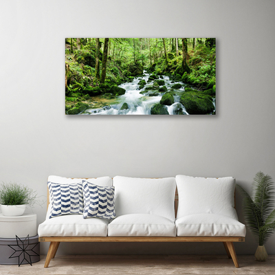 Photo sur toile Forêt lac pierres nature brun vert blanc