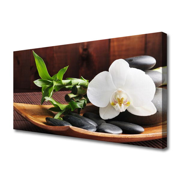 Photo sur toile Pierres bambou fleurs art blanc vert noir