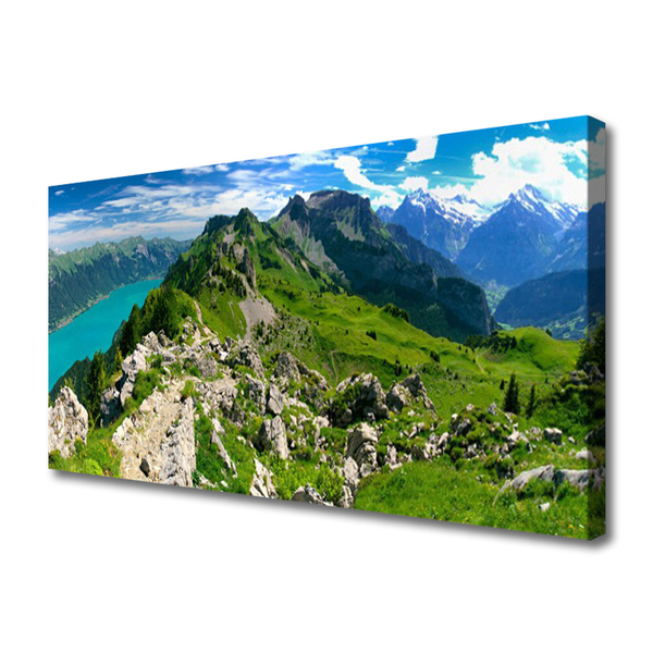 Photo sur toile Montagnes nature gris vert