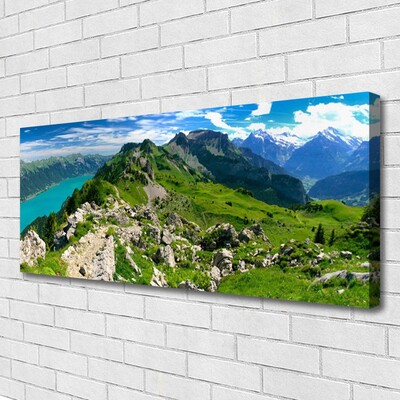 Photo sur toile Montagnes nature gris vert