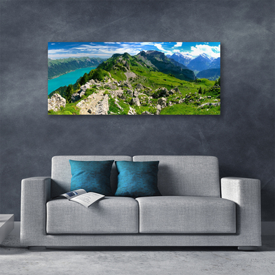 Photo sur toile Montagnes nature gris vert