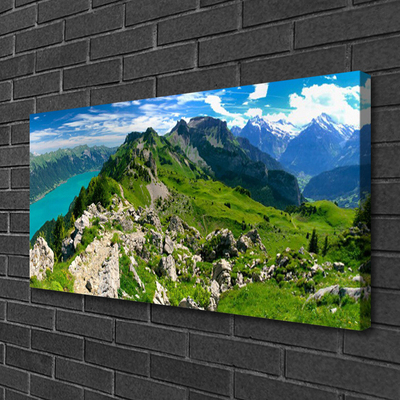 Photo sur toile Montagnes nature gris vert