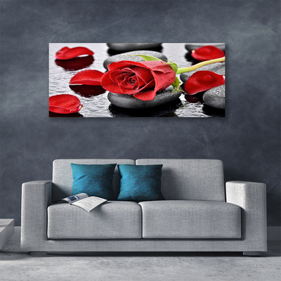 Photo sur toile Rose pierres floral rouge gris