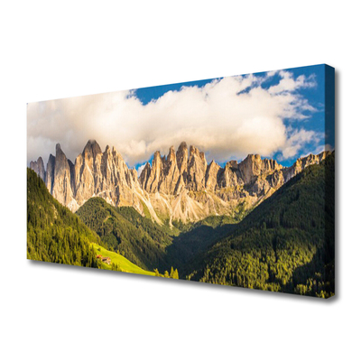 Photo sur toile Montagnes paysage brun vert