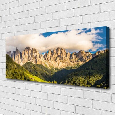 Photo sur toile Montagnes paysage brun vert