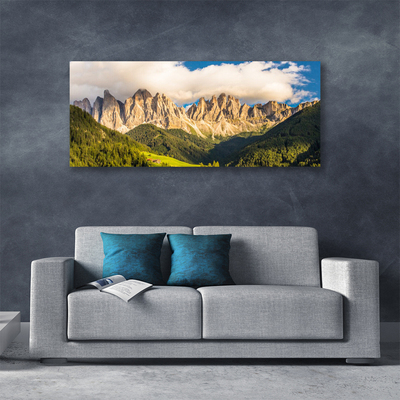 Photo sur toile Montagnes paysage brun vert