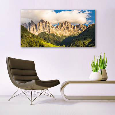 Photo sur toile Montagnes paysage brun vert