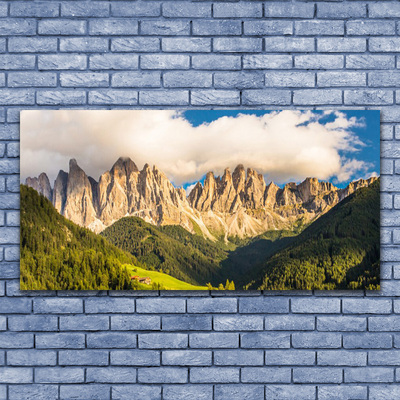 Photo sur toile Montagnes paysage brun vert