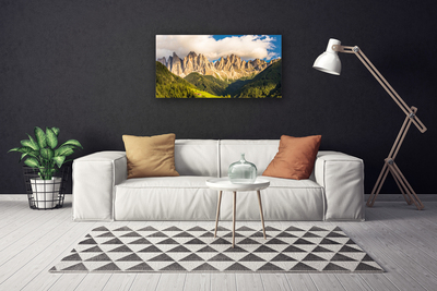 Photo sur toile Montagnes paysage brun vert