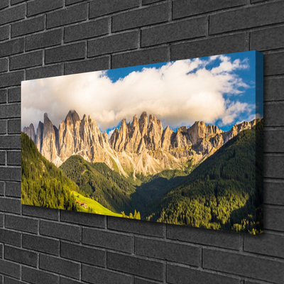 Photo sur toile Montagnes paysage brun vert