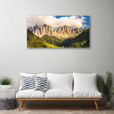 Photo sur toile Montagnes paysage brun vert