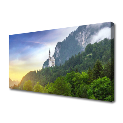 Photo sur toile Montagnes forêts paysage vert gris