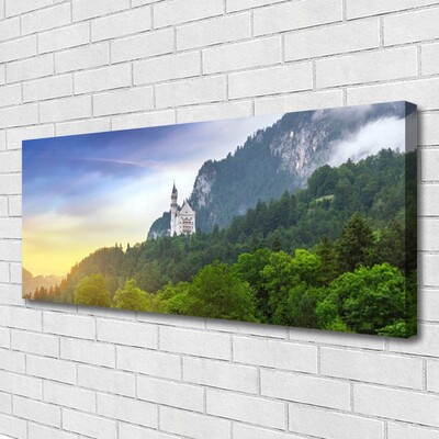 Photo sur toile Montagnes forêts paysage vert gris