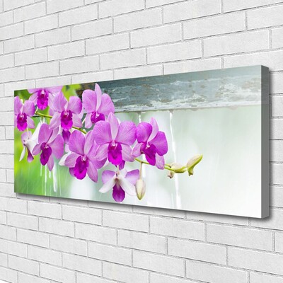 Photo sur toile Fleurs floral rose