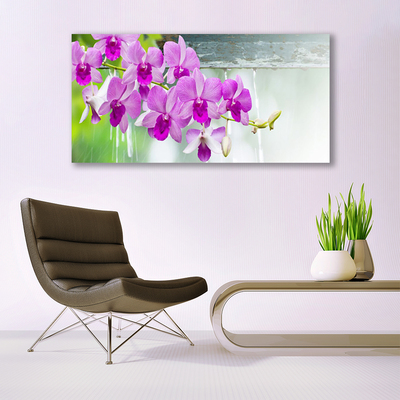 Photo sur toile Fleurs floral rose