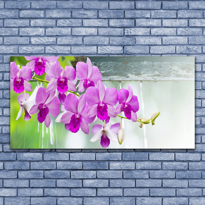 Photo sur toile Fleurs floral rose