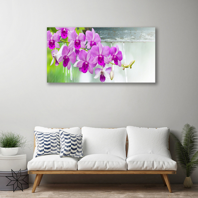 Photo sur toile Fleurs floral rose