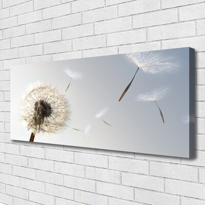 Photo sur toile Pissenlit floral blanc gris