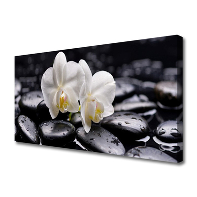 Photo sur toile Pierres fleurs art blanc noir