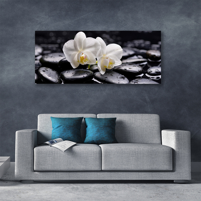 Photo sur toile Pierres fleurs art blanc noir