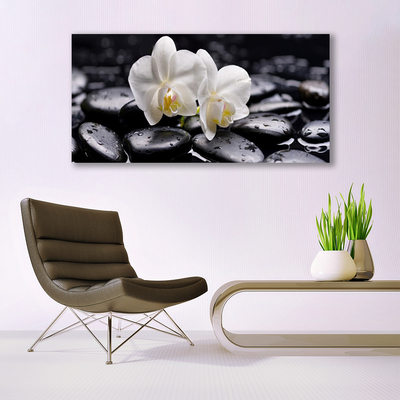 Photo sur toile Pierres fleurs art blanc noir