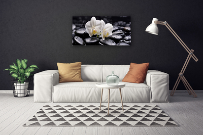 Photo sur toile Pierres fleurs art blanc noir