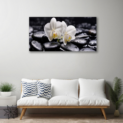 Photo sur toile Pierres fleurs art blanc noir