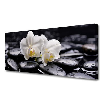 Photo sur toile Pierres fleurs art blanc noir