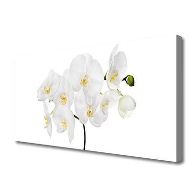 Photo sur toile Fleurs floral blanc