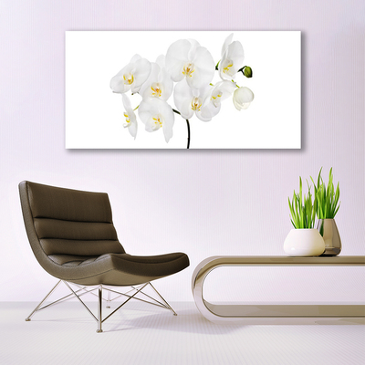 Photo sur toile Fleurs floral blanc