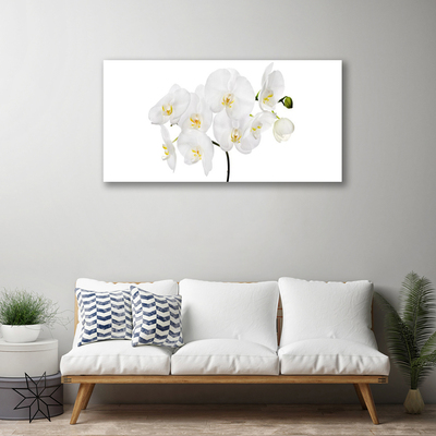 Photo sur toile Fleurs floral blanc