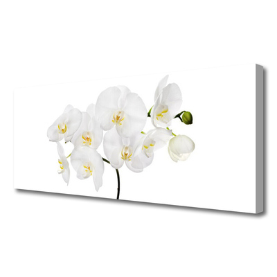 Photo sur toile Fleurs floral blanc